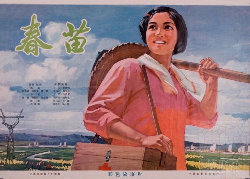 塞尔维亚护照模板 哪里能买到